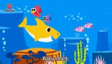 Baby Shark Nursery Rhyme GIF - Baby Shark Nursery Rhyme Baby Song GIFs