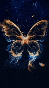 a butterfly with a light coming out of it 's center