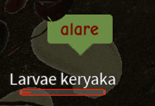 a green speech bubble that says ' alare ' and ' larvae keryaka '