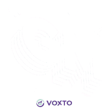 voxto cryptocurrency