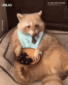 Raccoon Eat Grapes GIF - Raccoon Eat Grapes GIFs