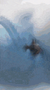 a dolphin is swimming in the water with a blurred background