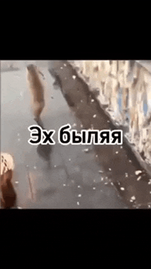 a video of a person walking down a street with russian writing