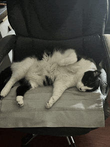 Cat Meme Cat Sleep GIF - Cat Meme Cat Sleep Hot Cat GIFs