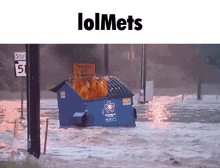 Mets New York Mets GIF - Mets New York Mets Dumpster Fire GIFs