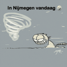 Hurricane Windy GIF - Hurricane Windy Nijmegen GIFs