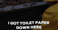 It Toilet Paper GIF - It Toilet Paper Tp GIFs