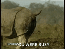 a rhino is standing in a field with the words " you were busy " below it