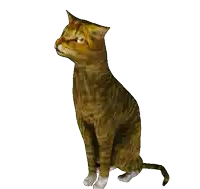 a cat is sitting down and looking up at something