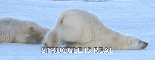polar bear pushing across the ice with caption that reads: the struggle is real