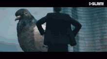 Bloody Pigeons GIF - Bloody Pigeons GIFs