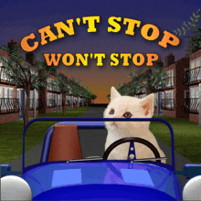 a cat driving a car with the words can t stop won t stop above it