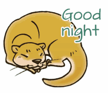 otter good night sleep well