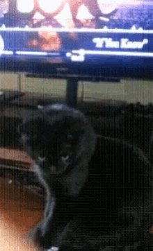 a cat sitting in front of a tv screen that says ' the king ' on it