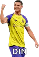 a soccer player in a yellow and purple uniform with the word din on the bottom right