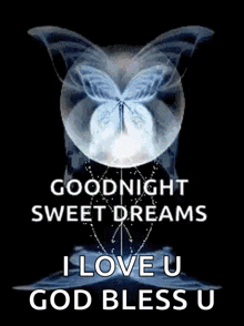 Butterfly Good Night GIF