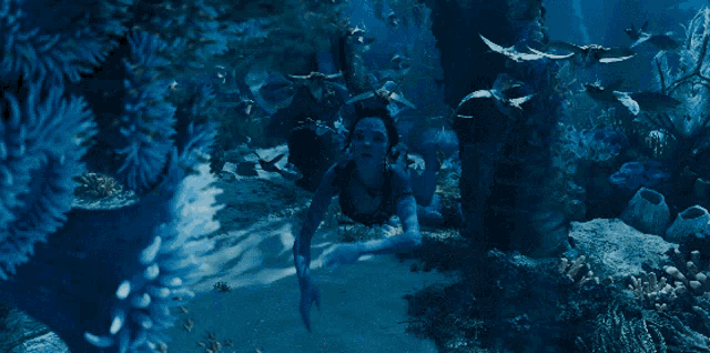 Avatar The Way of Water, Movie GIF - GIFPoster