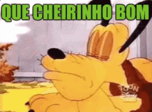 Cheiroso / Cheirinho Bom / Pluto / Cachorro GIF