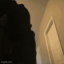a blurry picture of a person standing in a hallway
