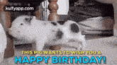 Piggy Wish.Gif GIF - Piggy Wish Happy Birthday Wishes GIFs