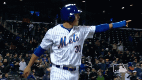 Excited Ny Mets GIF by New York Mets - Find & Share on GIPHY