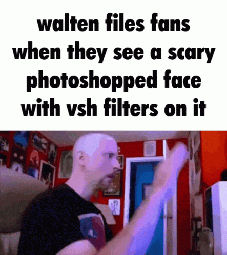 Anyone here like the walten files?