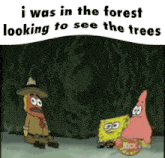 I Was In The Forest Looking To See The Trees Spongebob GIF - I Was In The Forest Looking To See The Trees Spongebob Hawaii Part Ii GIFs