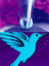 a blue hummingbird is flying in front of a pink background