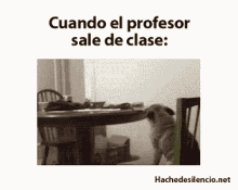 Cuando El Profesor Sale De Clase GIF - Dog Dancing Lit GIFs