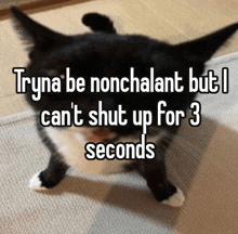 a black and white cat with the words tryna be nonchalant but i can 't shut up for 3 seconds below it
