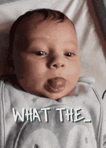 Baby What GIF - Baby What The GIFs