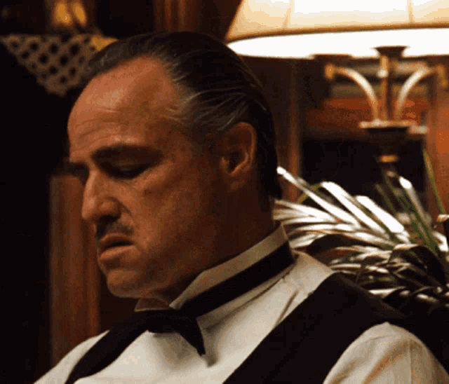 Vito Corleone Don Vito Corleone GIF - Vito Corleone Don Vito Corleone Godfather GIFs