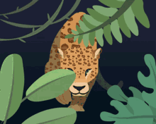 Leopard Illustration GIF - Leopard Illustration Beautiful GIFs