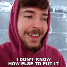 I Dont Know How Else To Put It Mr Beast GIF - I Dont Know How Else To Put It Mr Beast Unexplainable GIFs