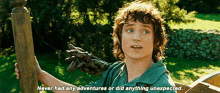 Lord Of The Rings Never GIF - Lord Of The Rings Never Adventure GIFs