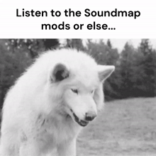 a black and white photo of a white wolf with the caption listen to the soundmap mods or else ...