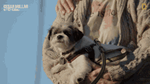 Carrying The Dog Cesar Millan Better Human Better Dog GIF - Carrying The Dog Cesar Millan Better Human Better Dog Holding The Dog GIFs