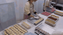 Food Processing Foodie GIF