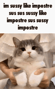 Imposter Sussy GIF - Imposter Sussy Sus GIFs