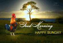 get up sunday good morning chicken tree