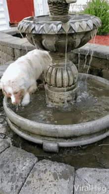 Cooling Off In Water Fountain So Hot Out GIF