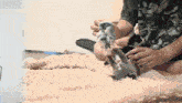 a man is playing with a kitten on a bed