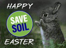 Happy Easter Save GIF - Happy Easter Save Soil GIFs