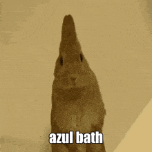 Azubath GIF - Azubath GIFs