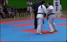 Martial Arts Taekwando GIF - Martial Arts Taekwando Black Belt GIFs