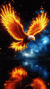 a bald eagle is surrounded by flames in the night sky