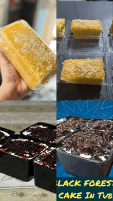 a person is holding a cake in a plastic container with the words black forest cake in tub on the bottom