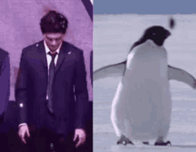 Taeyong Penguin GIF - Taeyong Penguin Nct GIFs