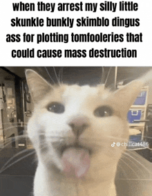 a picture of a cat with its tongue out and a caption that says when they arrest