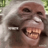 a close up of a monkey 's face with a foreign language written above it .